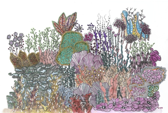 Plantas Acuáticas